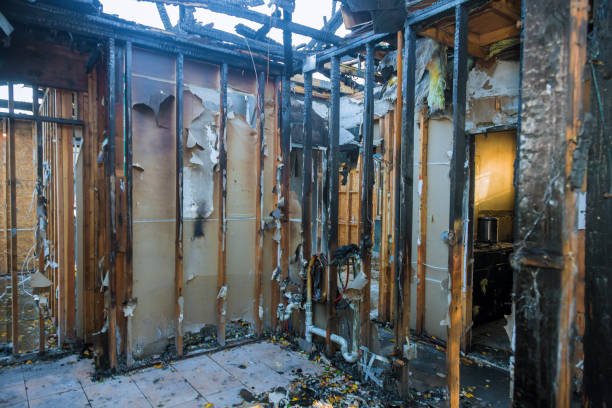 Professional Fire Damage Repair technician working in Glenwood, MD
